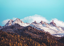 b体育app-ESPN百大球星前十：约基奇拔得头筹 库6詹7杜10